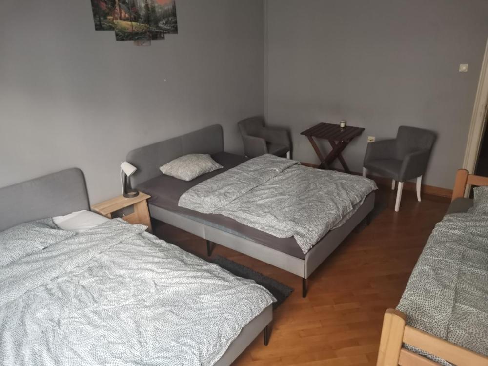 Cozy Palace Hostel เบลเกรด ภายนอก รูปภาพ